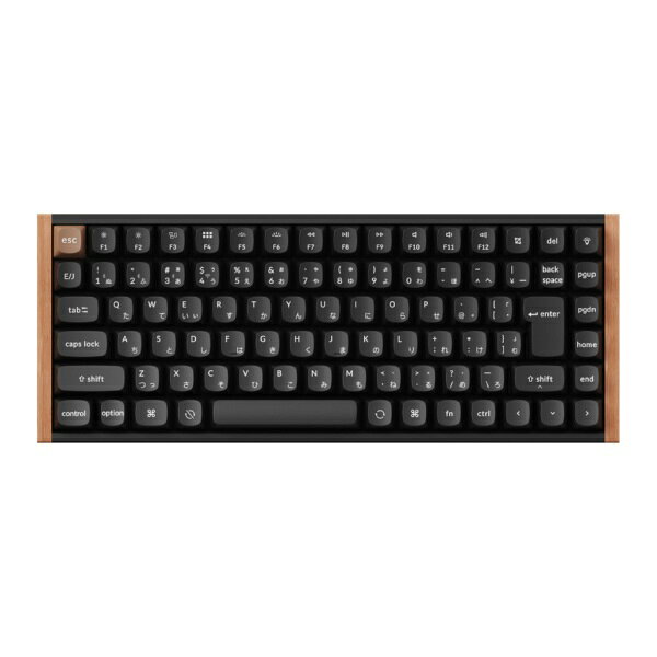 Keychron キーボード K2 HE - Special Edition- K2H-F1-JIS