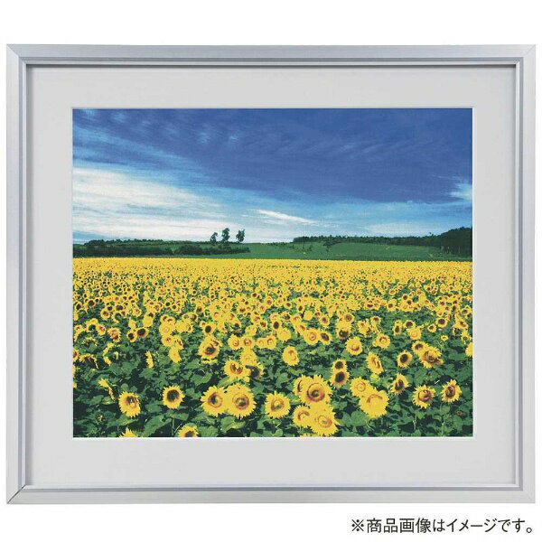 Glass, Crystal Frames - ナカバヤシ｜Nakabayashi アルミ製軽量写真額 2L判 フSA220S