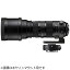 ޡSIGMA  150-600mm F5-6.3 DG OS HSM+TELECONVERTER TC-1401å Sports ֥å [ /][150600S+TC1401KIT]