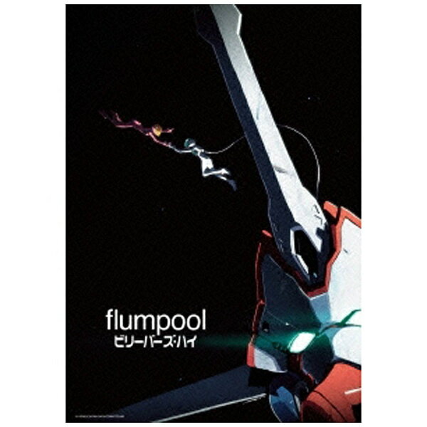 アミューズソフトエンタテインメント flumpool/ビリーバーズ・ハイ 初回プレス数量限定盤 【DVD】 【代金引換配送不可】