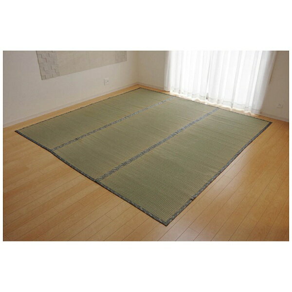 Patterned - イケヒコ｜IKEHIKO ラグ い草 糸引織 「湯沢」(273×364cm/ナチュラル)