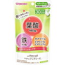 アサヒグループ食品｜Asahi Group Foods ママスタイルマタニティチャージ16．8g