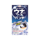 【第2類医薬品】ウナコーワクールパンチ(30mL)★セルフメディケーション税制対象商品KOWA|興和