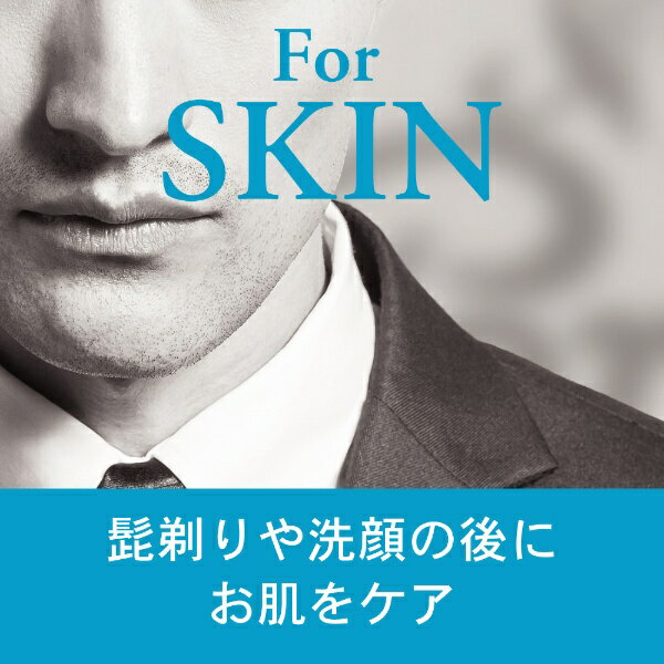 ������Ź��yanagiya �ݡ����奬�륢�ե����������֥��������