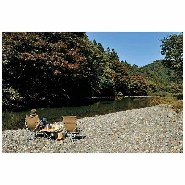 スノーピーク snow peak ローチェア30 ブラウン LV-091BR通販格安セール情報 楽天 通販