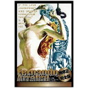 ローランズフィルム|Rolans Film フェルナンド・アラバール初期作品集3枚組 無修正完全版 【DVD】 【代金引換配送不可】