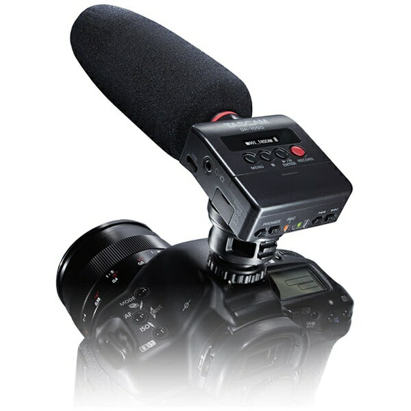 TASCAM�å������� DR-10SG IC�쥳������[DR10SG]