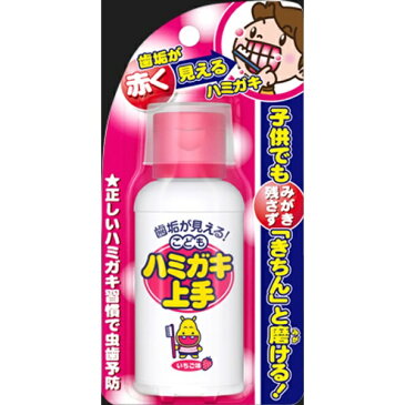 丹平製薬　Tampei こどもはみがき上手 歯磨き粉 イチゴ味 69ml【wtcool】