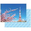 セキセイ｜SEKISEI パックンカバーアルバム 2L 東京タワー PKA-712[PKA712]