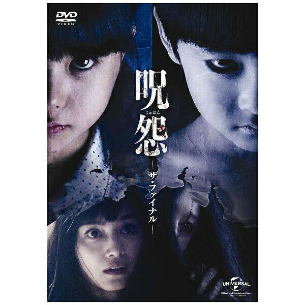 最恐が、終わる。日本国民が選ぶ「最も怖い映画」堂々の第1位。恐怖の頂点『呪怨』シリーズ、遂に最終章！【ストーリー】小学校教師をしている妹・結衣（佐々木希）の失踪を聞いた姉の麻衣（平愛梨）は、結衣がたびたび「佐伯俊夫」という不登校の生徒の家を訪れていたことを知る。何か手がかりを得られないかと麻衣は「佐伯俊夫」の居場所を捜索し始めるが、その日から麻衣の周りで不可解なことが起こり始める。