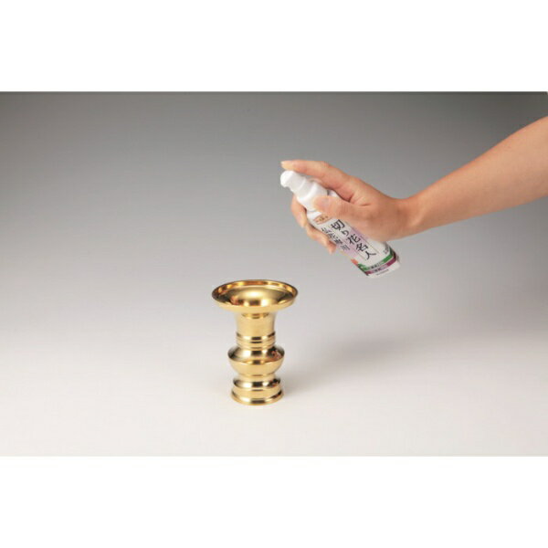 ������������Earth �ڤ��̾�� ʩ������ 100ml ��ʩ�����ʡ�