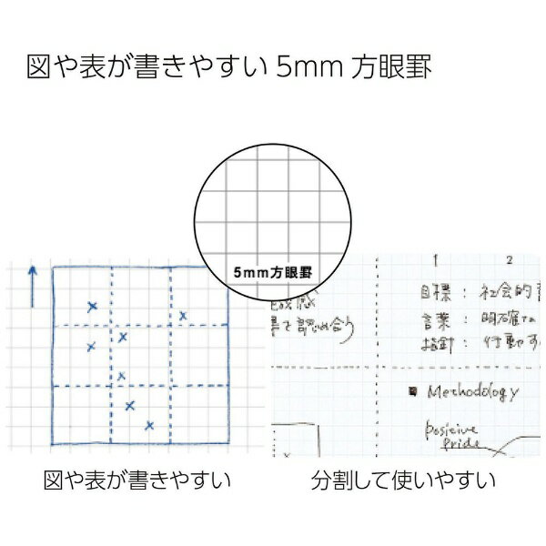 KOKUYO｜コクヨ 大人Campus(キャンパス) ノート 黒 8S5-D [セミB5・B5 /5mm /方眼罫線] 3