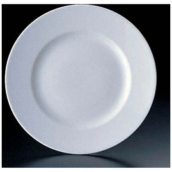 ウェッジウッド｜WEDGWOOD ウェッジウッド ホワイトコノート フラットプレート 20cm 3108 ＜RUEE301＞[RUEE301]