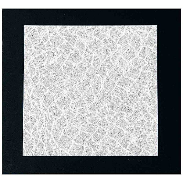 �����ƥå���Artec ������������ ��100������ TA-300 ��QKI75300��[QKI75300]