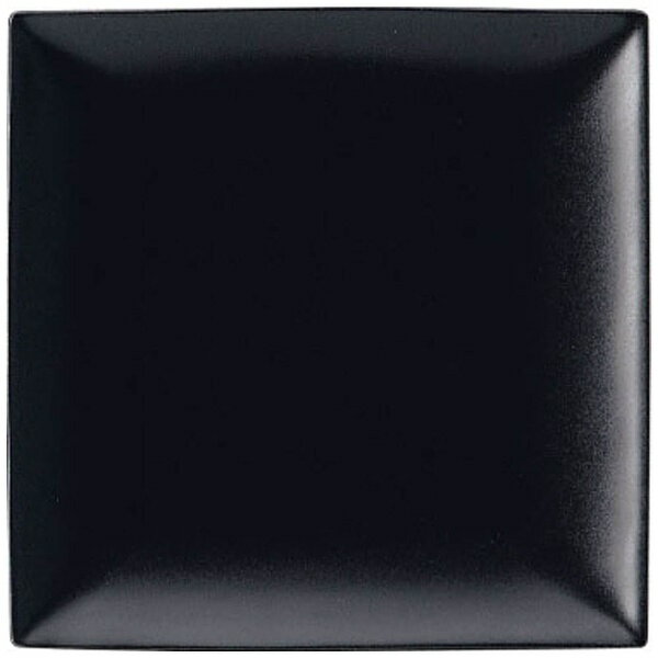 ミヤザキ食器｜MIYAZAKI スパッツィオ スクエア プレート 黒 （M）7 3/4インチ ＜RSP4903＞[RSP4903]
