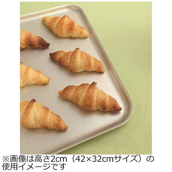 楽天ビック(ビックカメラ×楽天)の遠藤商事｜Endo Shoji TKG アルマイトベーキングトレー 27×16×H4cm ＜WBC5901＞[WBC5901]｜アングル2