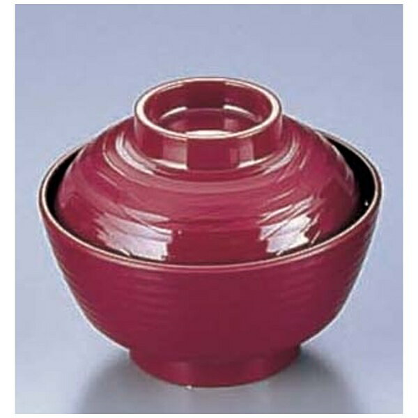 ��ƣ������Endo Shoji ���ߥ����ܵ�ʪ�� ί��� 767F-TB �� ��RSIE202��[RSIE202]