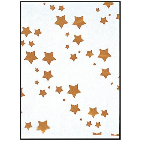 福助工業｜Fukusuke Kogyo SKバッグ 星（100枚入） No.5 ＜XBT1001＞[XBT1001]