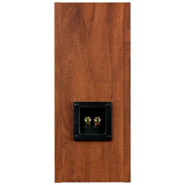 �ڥ���ȥ꡼�Ǻ���2���ݥ�����������2/25�ޤǡ� FOSTEX�åե����ƥ��� ���ԡ������ܥå�����P1000-BH[P1000BH]