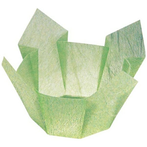 ヤマコー｜YAMACO 両面 OP珍味入れ 小（200枚入） 66396 若草雲竜 ＜QTV3805＞[QTV3805]