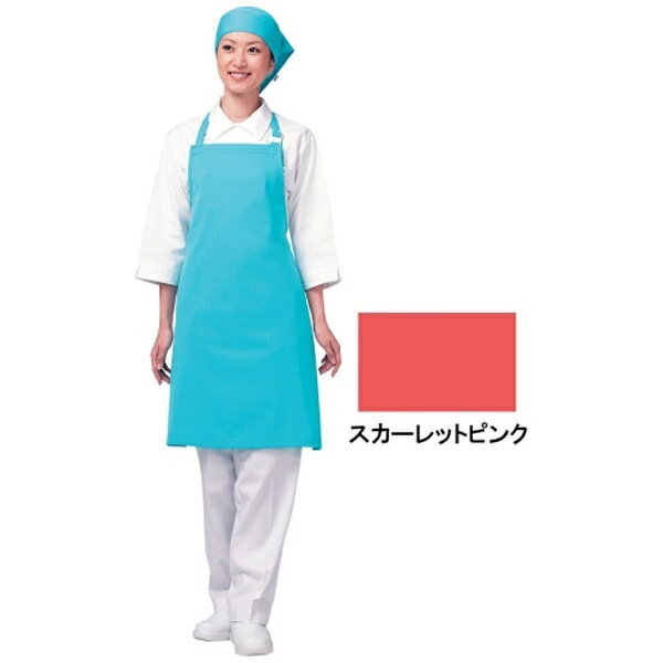 ���R�E�bWAKO �A�C���b�V���G�v���� ��|���^�C�v E5200 44 �X�J�[���b�g�s���N ��SEPB805��[SEPB805]