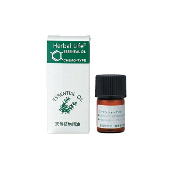 生活の木｜TREE OF LIFE アンジェリカルート 3ml 08-449-3380[084493380]のサムネイル