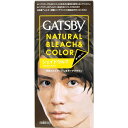 マンダム|mandom GATSBY(ギャツビー) ナチュラルブリーチカラーシェイドウルフ 〔カラーリング剤〕