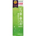 柳屋本店｜yanagiya リフルール育毛E 120ml