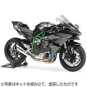 タミヤ｜TAMIYA 1/12 オートバイシリーズ No.131 カワサキ Ninja H2R 【代金引換配送不可】 その1