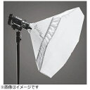 Gamilight|ガミライト Octave53 WhiteL マウント付属