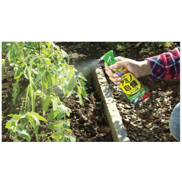 フマキラー｜FUMAKILLA フマキラー　カダンアミノパワー野菜用200ml　436877