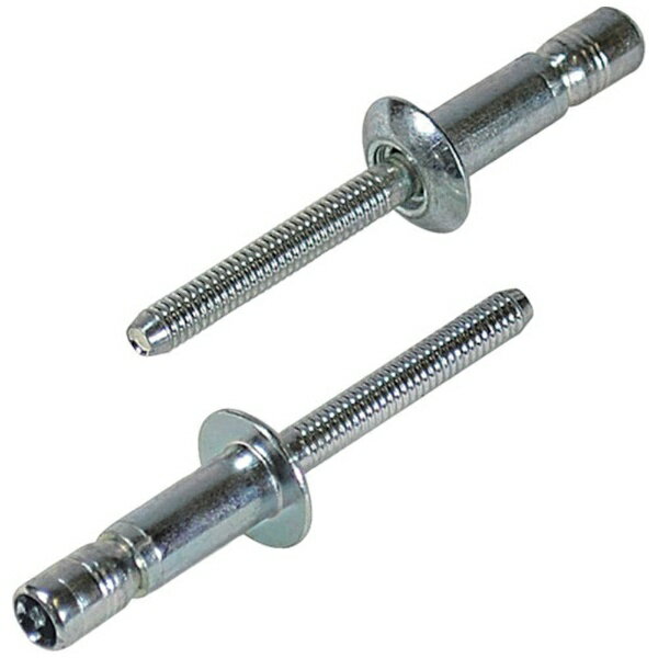 ロブテックス｜Lobtex エビ　Sボルト（100本入）　SNS48110EB　SNS48110EB《※画像はイメージです。実際..