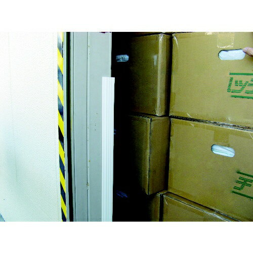 �ȥ饹���滳��TRUSCO NAKAYAMA TRUSCO��������ӥ����ʡ������ɡ���50mmXĹ��1m���ۥ磻�ȡ�TSEG-10-W