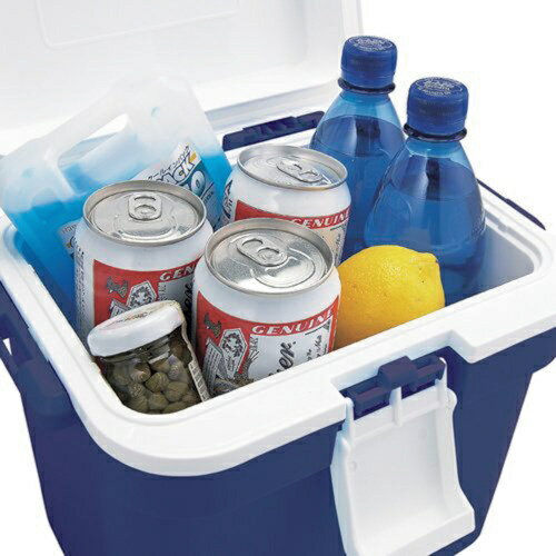 アステージ Astage ASTAGE フォレスクルー#10 Dブルー FRC-10通販格安セール情報 楽天 通販