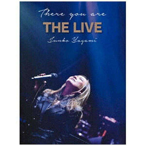 ソニーミュージックマーケティング 八神純子/There you are THE LIVE 【DVD】 【代金引換配送不可】