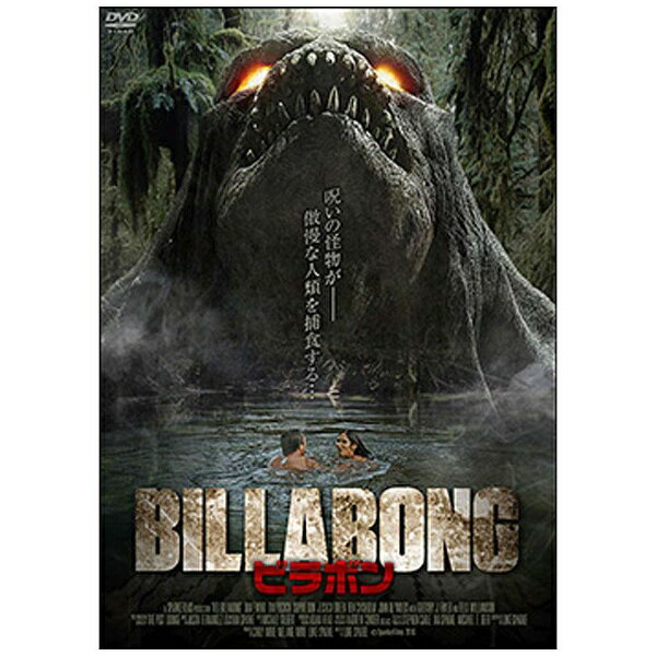 ���ᥤ����DC��Amazing��D.C. BILLABONG �ӥ�ܥ� ��DVD�� �������������Բġ�