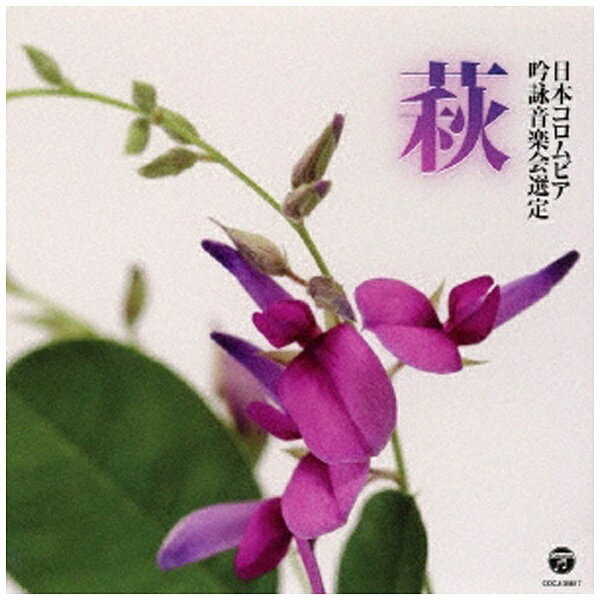 ���ܥ�����ӥ���NIPPON COLUMBIA ���������ڡ�/��� ʿ���󽽶�ǯ�١���޽������ ������ӥ������ӥ��󥯡��� ����� CD �� ��CD�� ����...