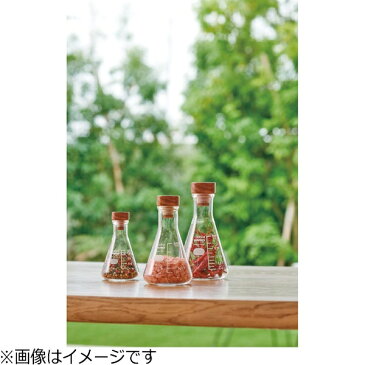 ハリオ 三角フラスコストッカー L SFS-L (実用容量: 塩/350g)
