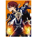 ヒーローは、やって来る。TVアニメシリーズ第2期『僕のヒーローアカデミア 2nd』がBlu-ray＆DVDで登場！【ストーリー】「架空(ゆめ)」は、「現実」に！ これは、僕が最高のヒーローになるまでの物語だ。ある事件をきっかけにNo．1ヒーローのオールマイトと出会った“無個性”の少年・緑谷出久はその内に秘めるヒーローの資質を見出され、オールマイトから“個性”ワン・フォー・オールを受け継ぐ。出久はオールマイトの厳しい特訓を経て雄英高校に見事入学し、爆豪勝己や麗日お茶子らヒーロー科1年A組のクラスメイトたちと互いに高め合う切磋琢磨の毎日を過ごしていた。そんな中、日本全国から注目されるビッグイベント「雄英高校体育祭」の開催が迫る！ただトップだけを見据える爆豪、家族を想って強い意志で挑むお茶子と飯田天哉。そしてある男を“否定する”ために優勝を狙う轟焦凍。さらにヒーロー科1年B組をはじめとする新たな顔ぶれも…。雄英生徒の全員が闘志を燃やす中、出久も決意を新たにする。「僕も本気で獲りに行く！」最高のヒーローを目指す彼らの“個性”と力、そしてプライドがぶつかり合う戦いが始まる！【収録話】第24話、第25話、第26話【映像特典】■CM集2(C)堀越耕平／集英社・僕のヒーローアカデミア製作委員会