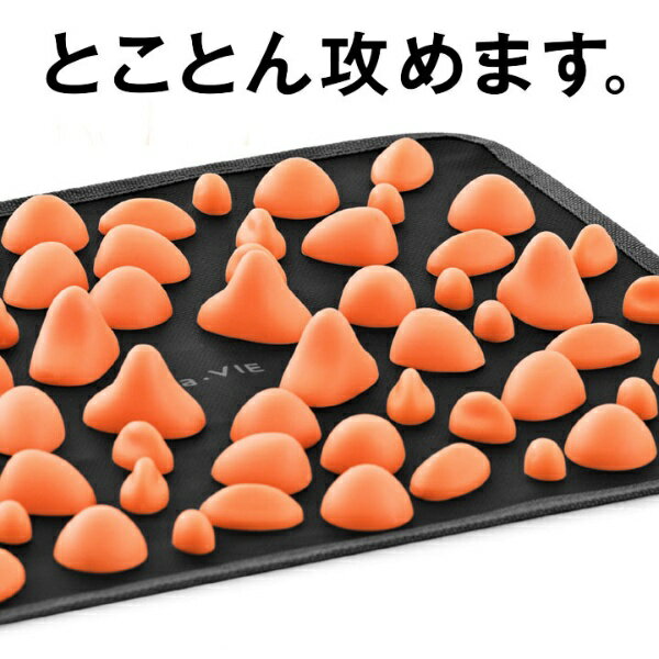 ラ・ヴィ『足裏いてーよ』