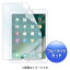 掠ץ饤SANWA SUPPLY iPad 9.7ѡ֥롼饤ȥåȱվݸȿɻߥեࡡLCD-IPAD8BCAR[LCDIPAD8BCAR]