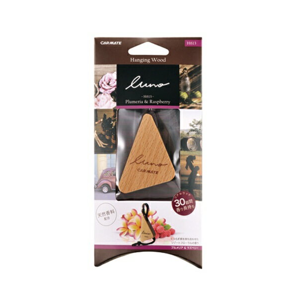 �����ᥤ�ȡ�CAR MATE �롼�� �ϥ󥮥󥰥��å� P&RH613