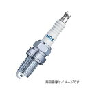 日本特殊陶業|NGK R6601-10 レーシングプラグ ターミナル一体形/1本 4017