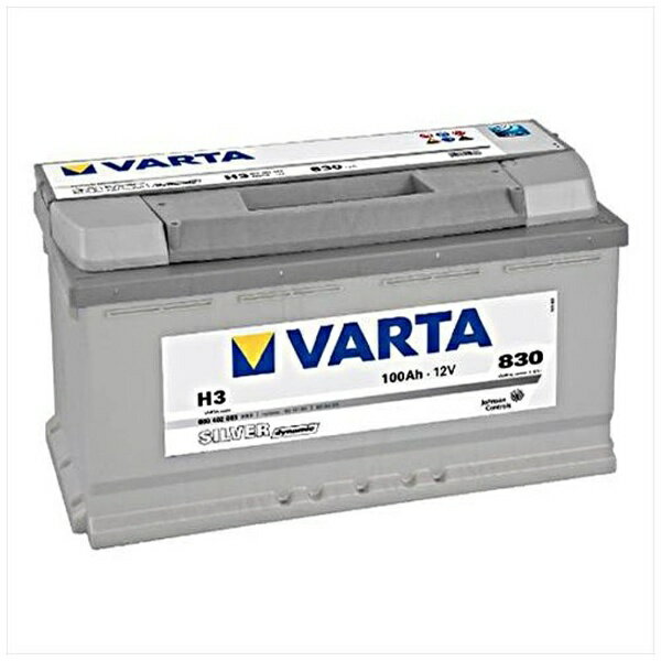SILVER DYNAMIC 600 402 083