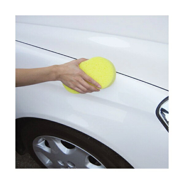 WAKO�å拾�� ��-�����ס��ѥ��ݥ� CS-01