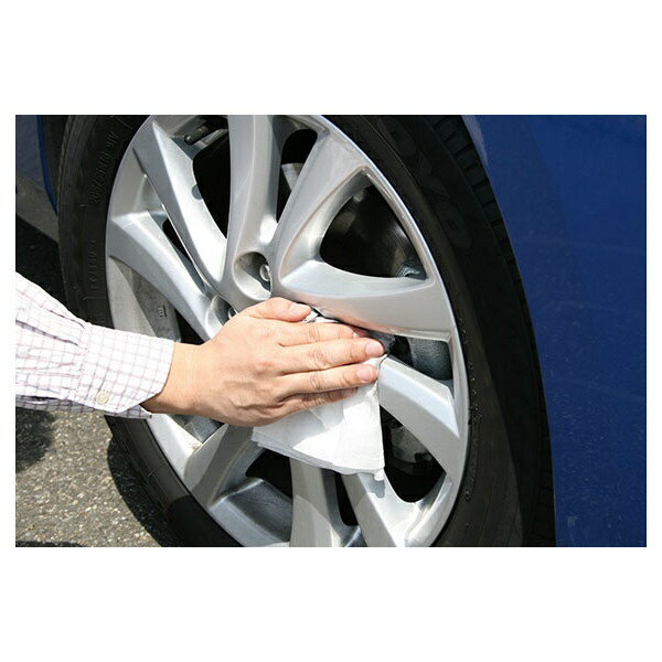 ���ե�99��soft99 �ե��ԥ��ۥ��������ѿ������������� 00493