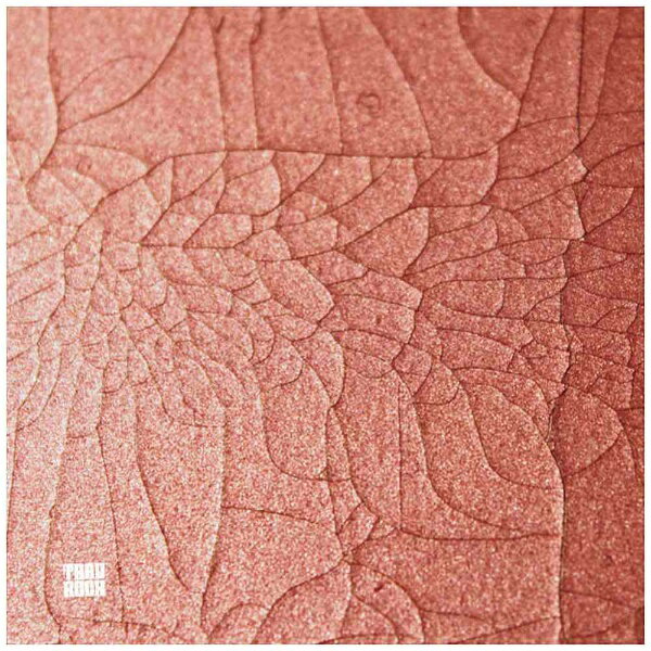 インディーズ Char/TRADROCK “ブルーレイ ソフト and Archive Box” 【ブルーレイ ソフト】 【代金引換配送不可】