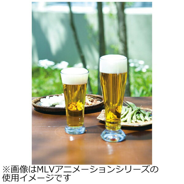 ��ƣ������Endo Shoji MLV�����˥᡼����� �ԥ륹�ʡ� ��2������ S163 ��RJB3401��[RJB3401]