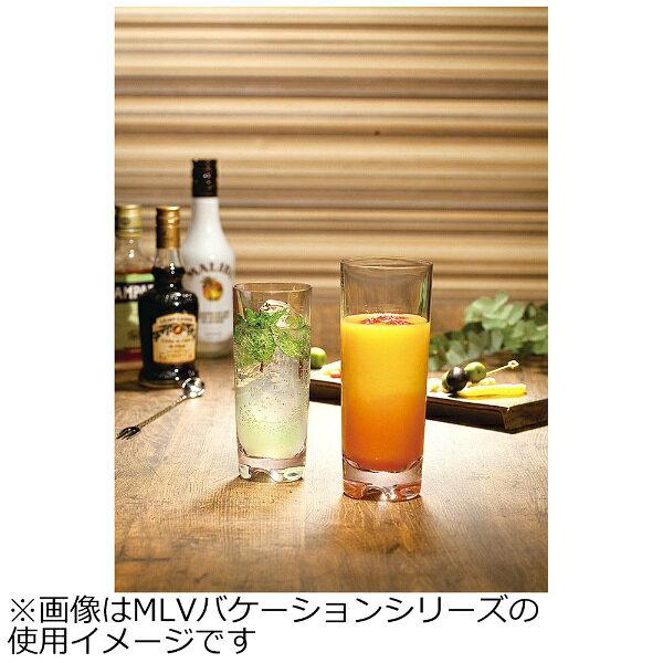 楽天ビック(ビックカメラ×楽天)の遠藤商事｜Endo Shoji MLV　バケーション X‐トール （2ヶ入） S078 ＜RJB7101＞[RJB7101]｜アングル2