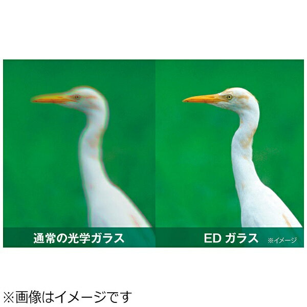 �ڥ���ȥ꡼�Ǻ���2���ݥ�����������2/25�ޤǡ� ���󥳡����ȥ��ʡ���KenkoTokina ��8���д����ED�д�� ���Х�- 8X25ED DH[AVANTAR8X25EDDH]